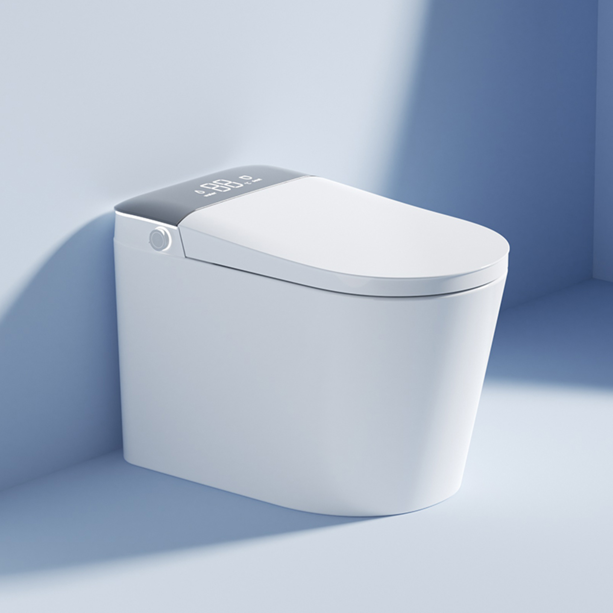 Multi-Function Intelligent Toilet