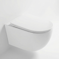 Wall-mounted toilet