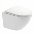 Wall-mounted toilet