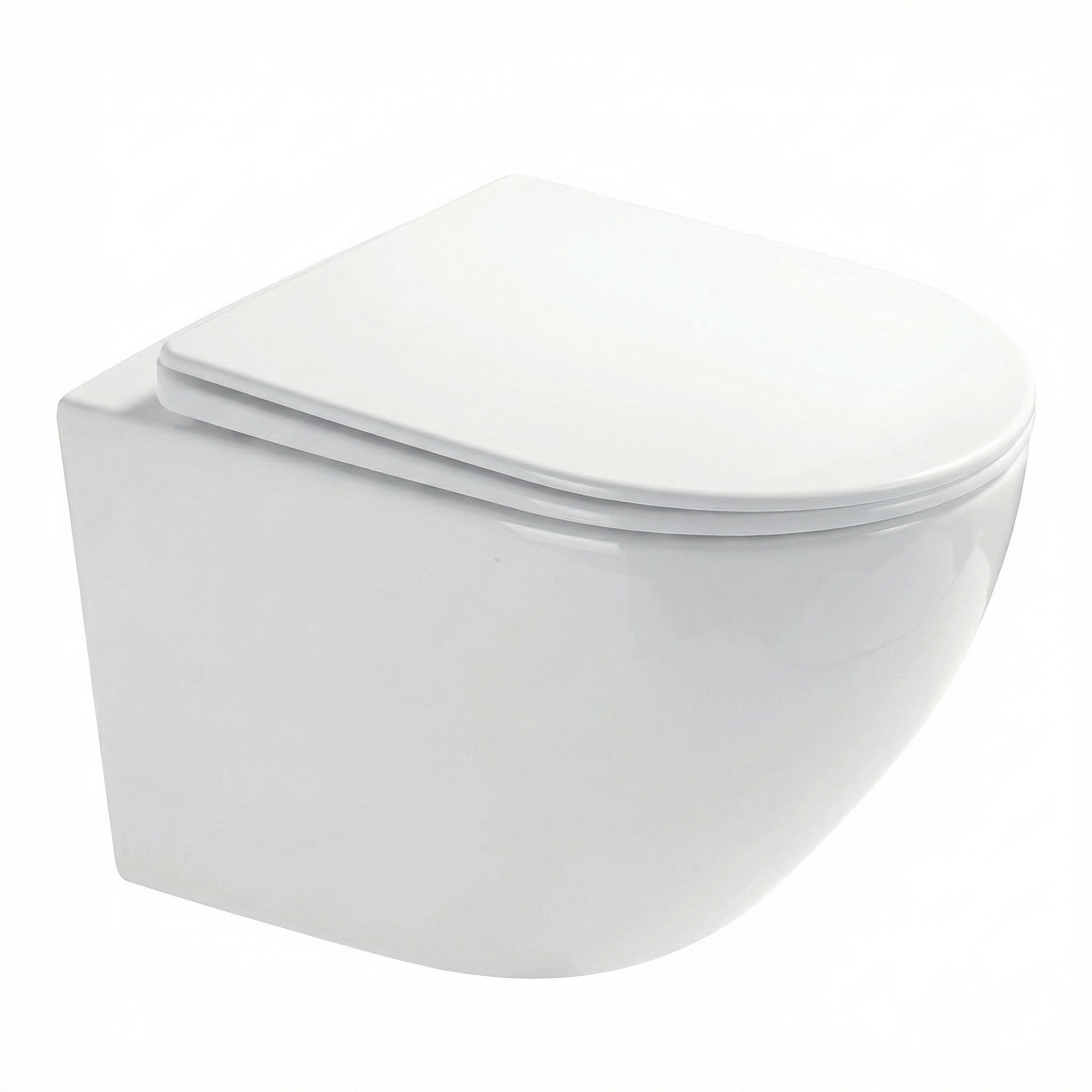 Wall-mounted toilet