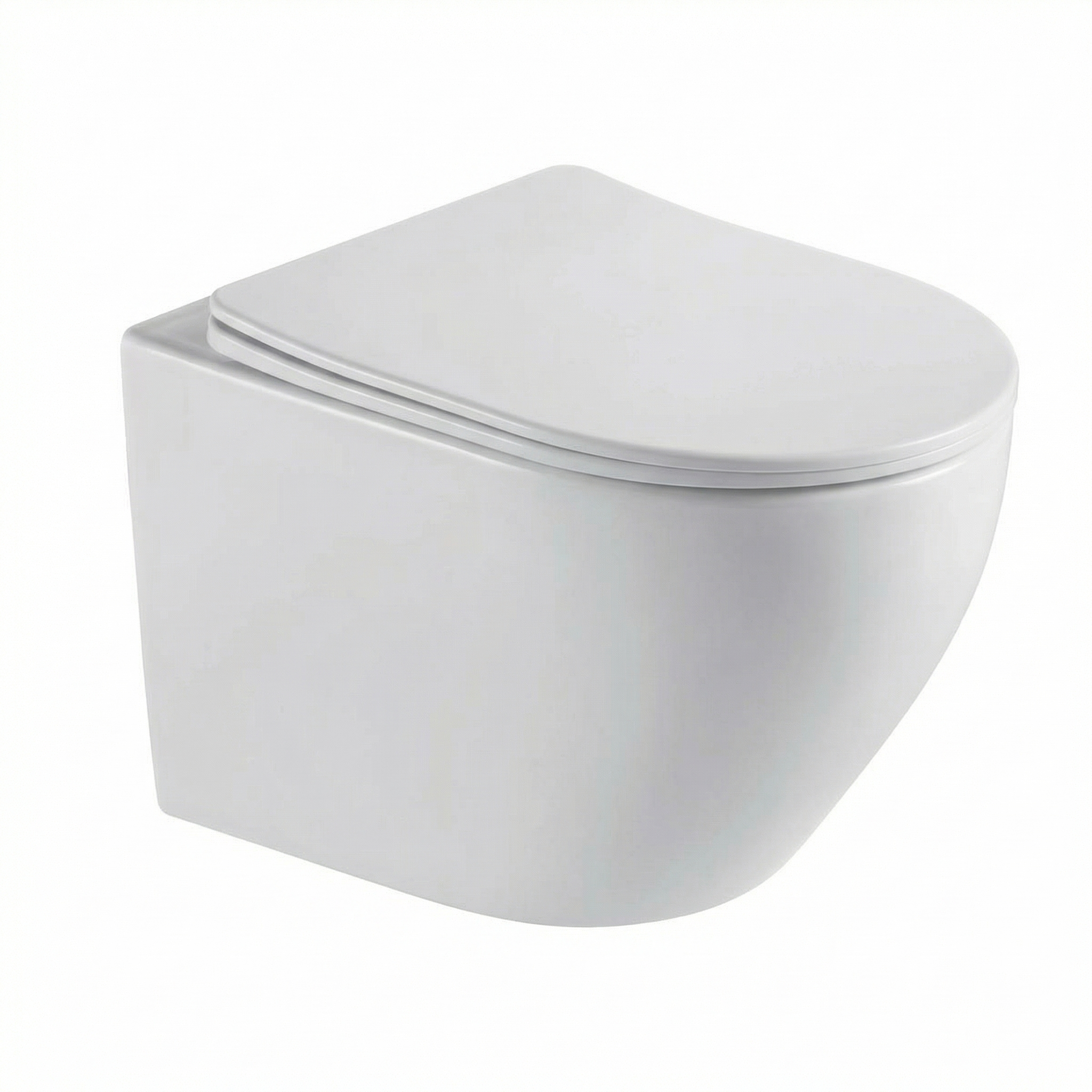 Wall-mounted toilet