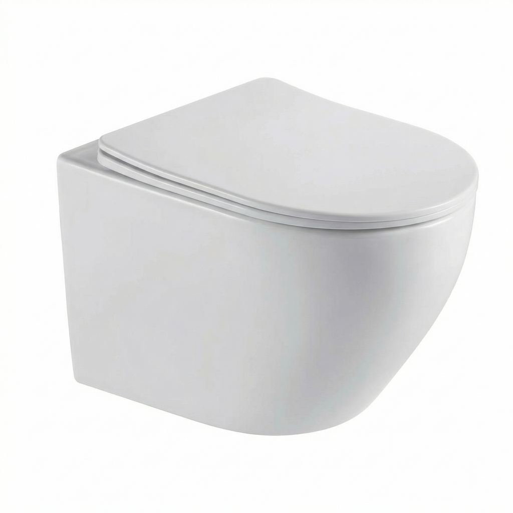 Wall-mounted toilet