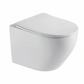 Wall-mounted toilet