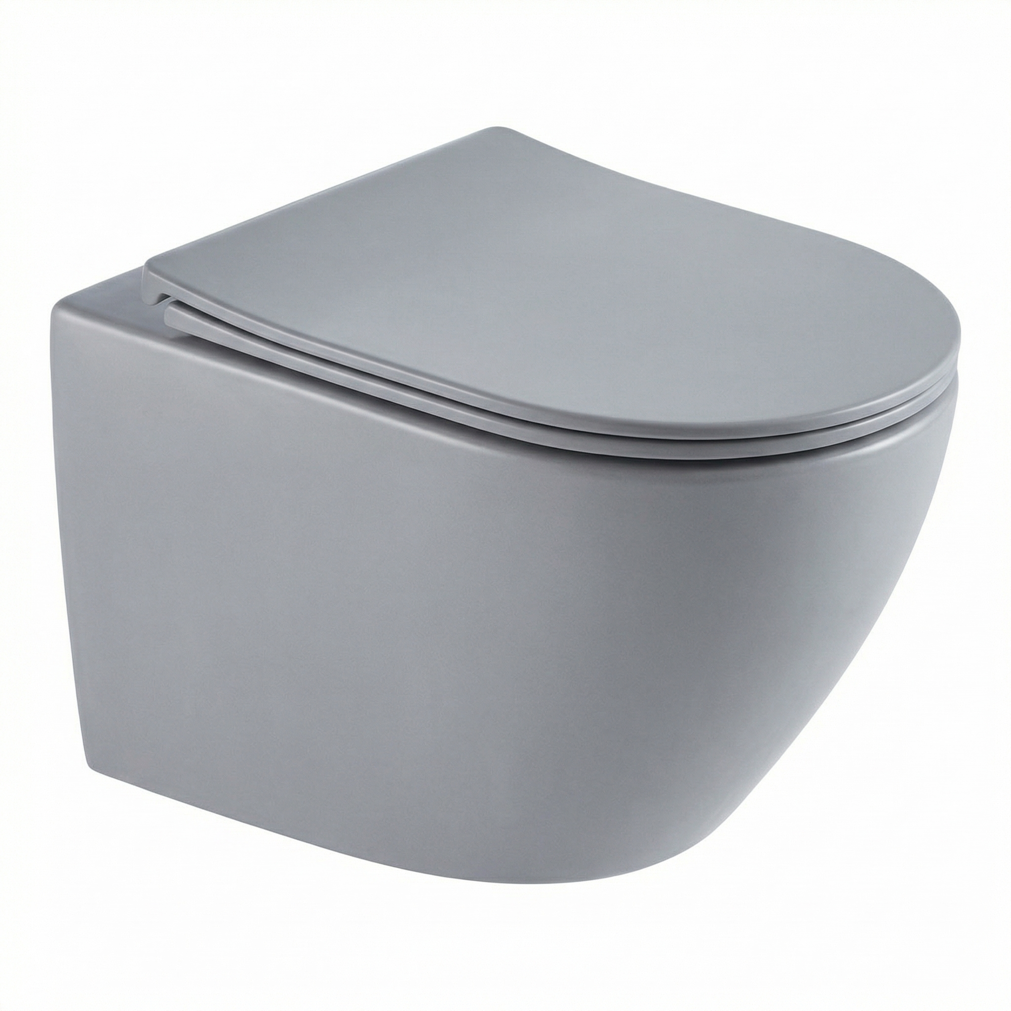 Wall-mounted toilet