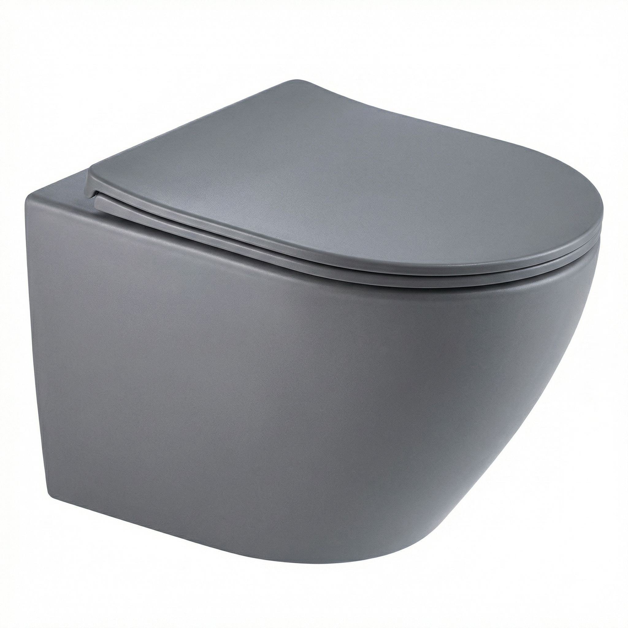 Wall-mounted toilet