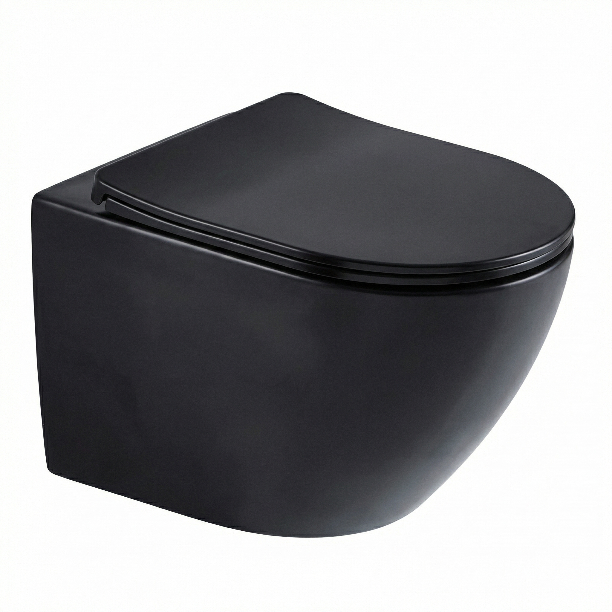 Wall-mounted toilet