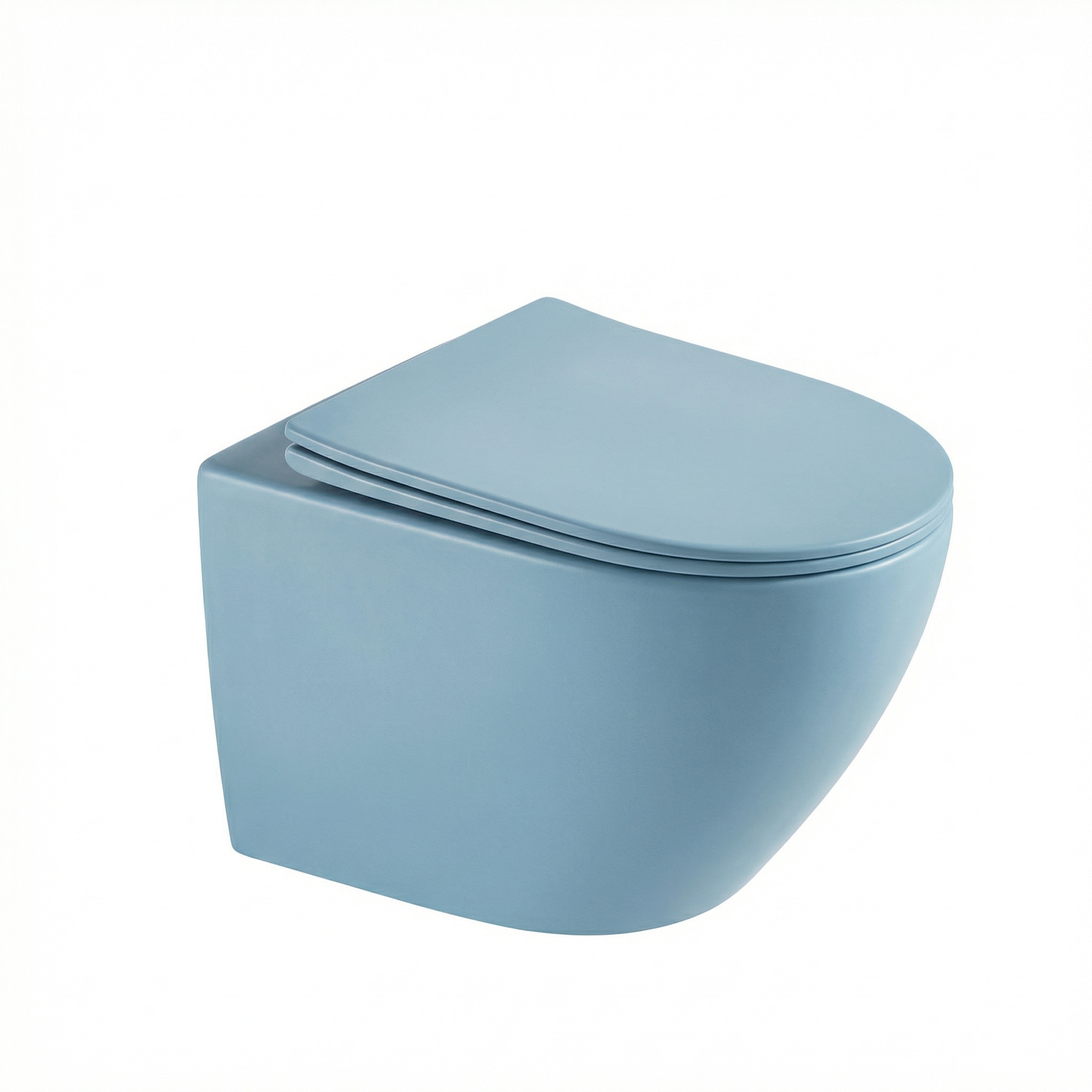 Wall-mounted toilet