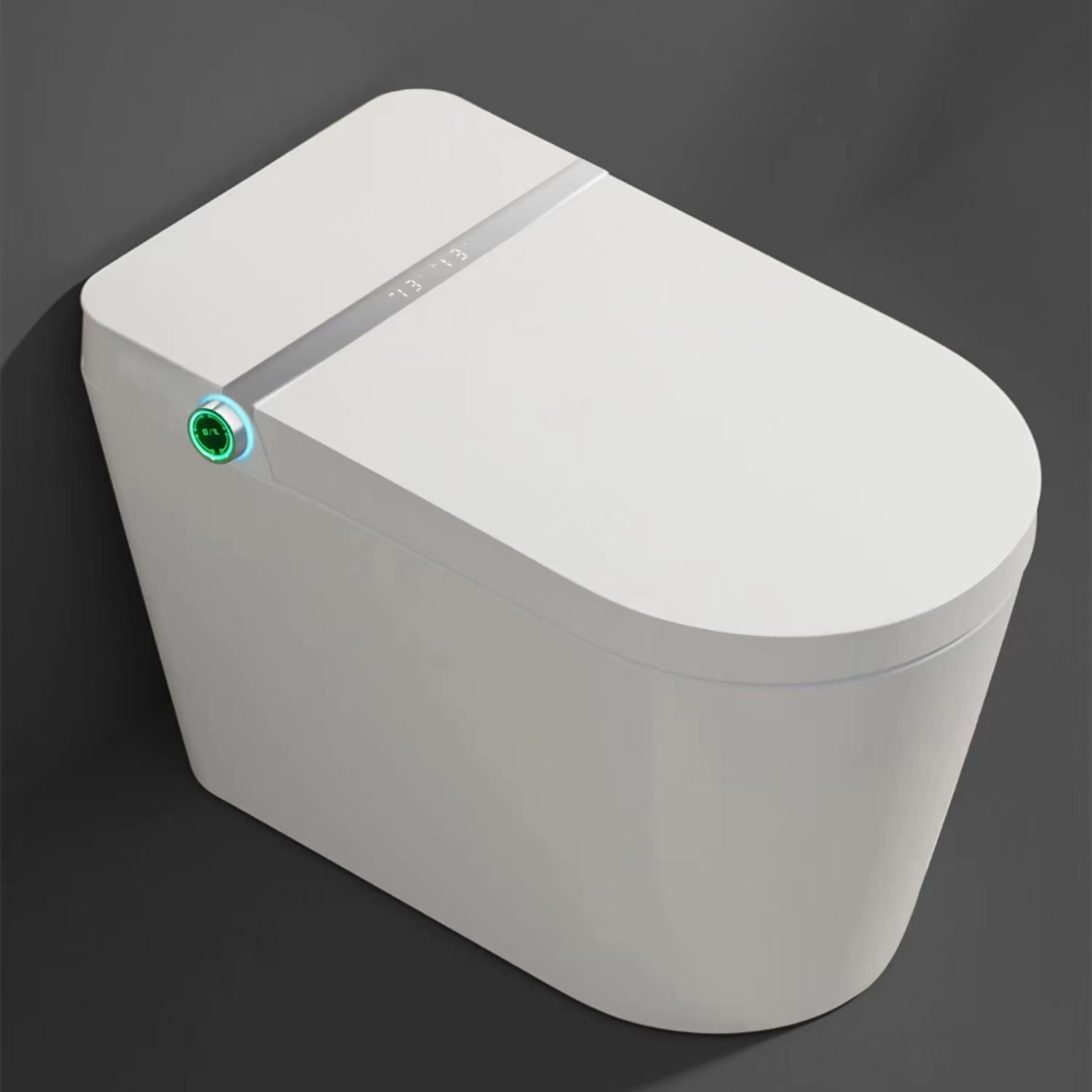 Multi-Function Intelligent Toilet