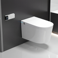 Wall-mounted toilet